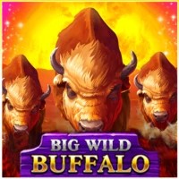 game logo by Belatra Games on casinolysa.com