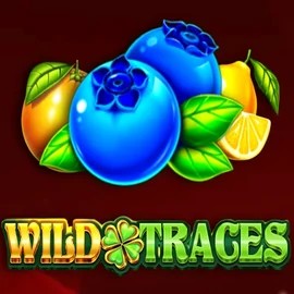 Wild Traces slot visual from Amusnet Interactive available on casinolysa.com